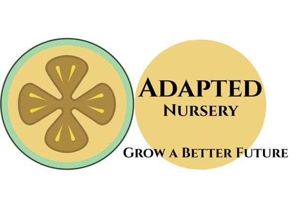 Adapted Nursery